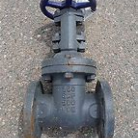 美国Nibco公司进口尼必可法兰铸铁闸阀F-619